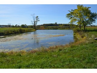 Property photo 24 - 80 +/- Acres Offered in 6 Tracts - Spectacular Farm & Home